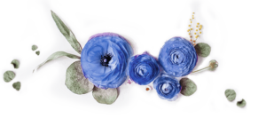 blue-divider Floral page divider - A Floral Affair offer expertise in all things floristry