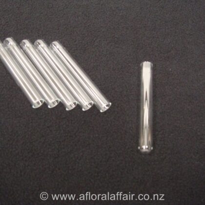 Glass Test Tube x 20  10 x 75