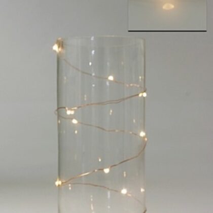 LED Seed Light 1m Warm White