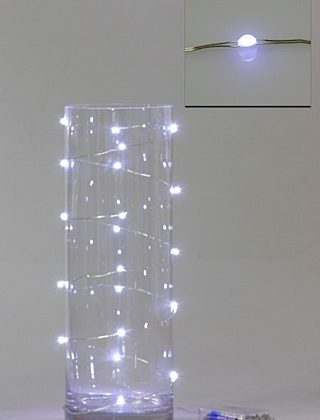 LED Seed Light 2m White