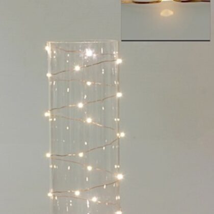 LED Seed Light 2m Warm White