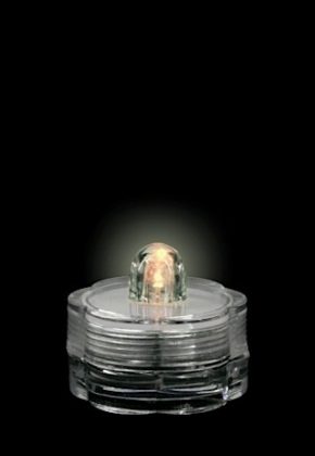Submersible Led Single Warm White