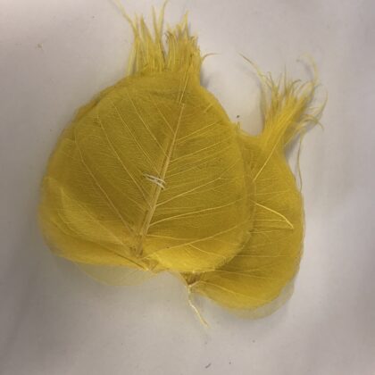 Skeleton Leaves Yellow x 100