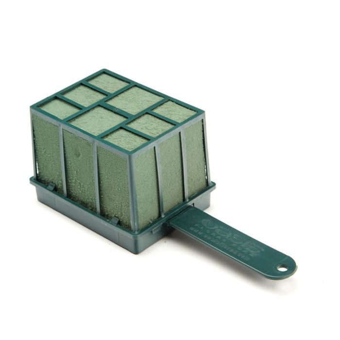 Oasis Florette Petite