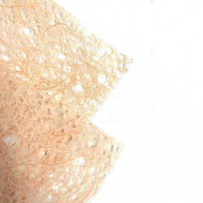 Lace Sisal Paper x 1 sheets Champayne (Peachy )