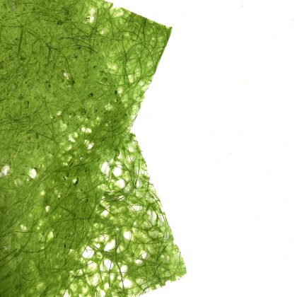 Lace Sisal Paper x 1 Sheets Mid Green