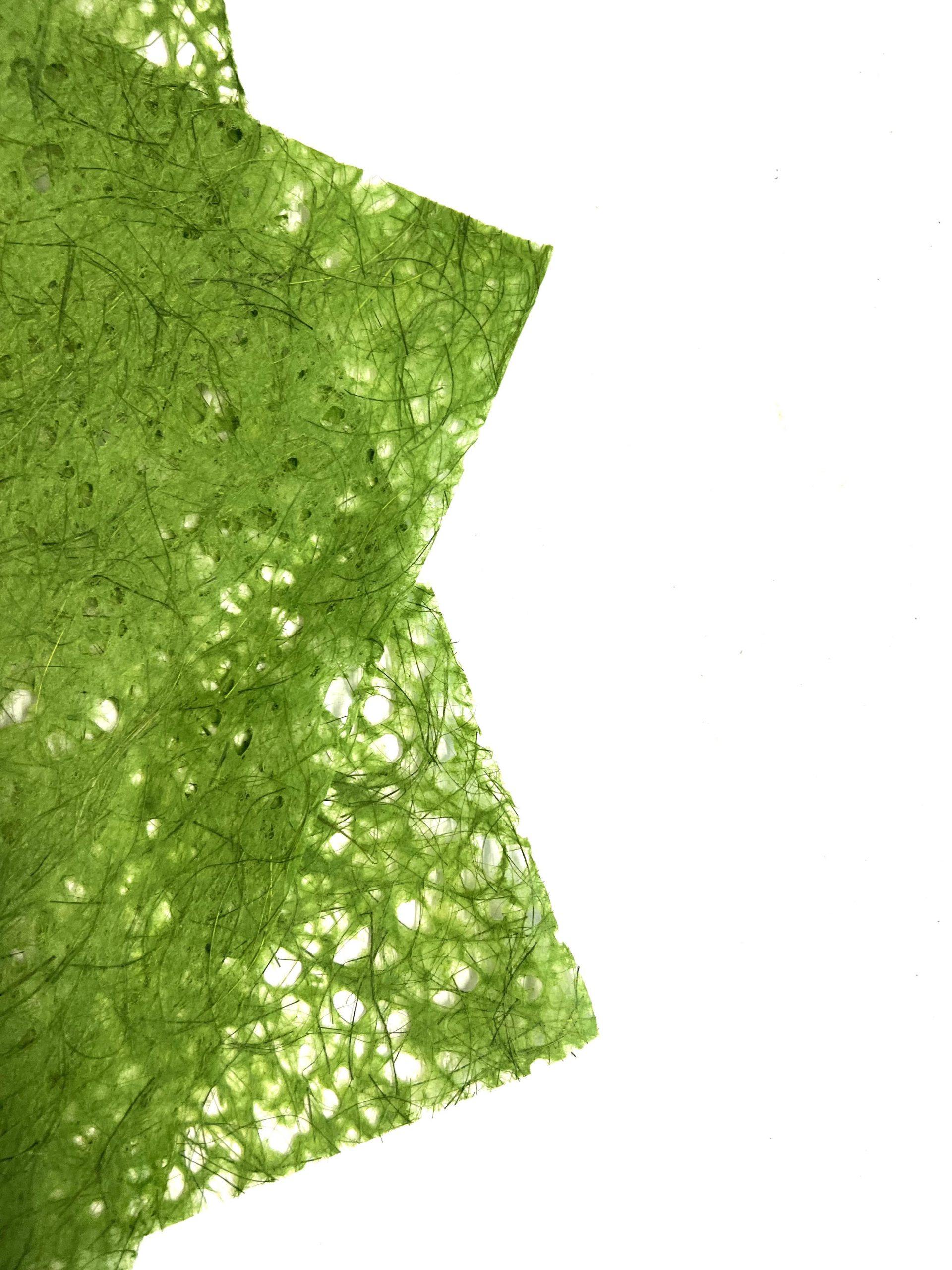 Lace Sisal Paper x 1 Sheets Mid Green