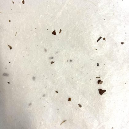 Mulberry Bark Paper Sheet with bark Chip 50cm x 70 x 2 sheets