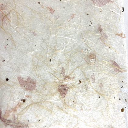 Mulberry Paper with Skeletonized Leaves 50cm x 70cm x 2 sheets