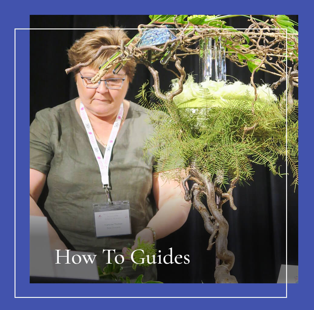 how-to-guides