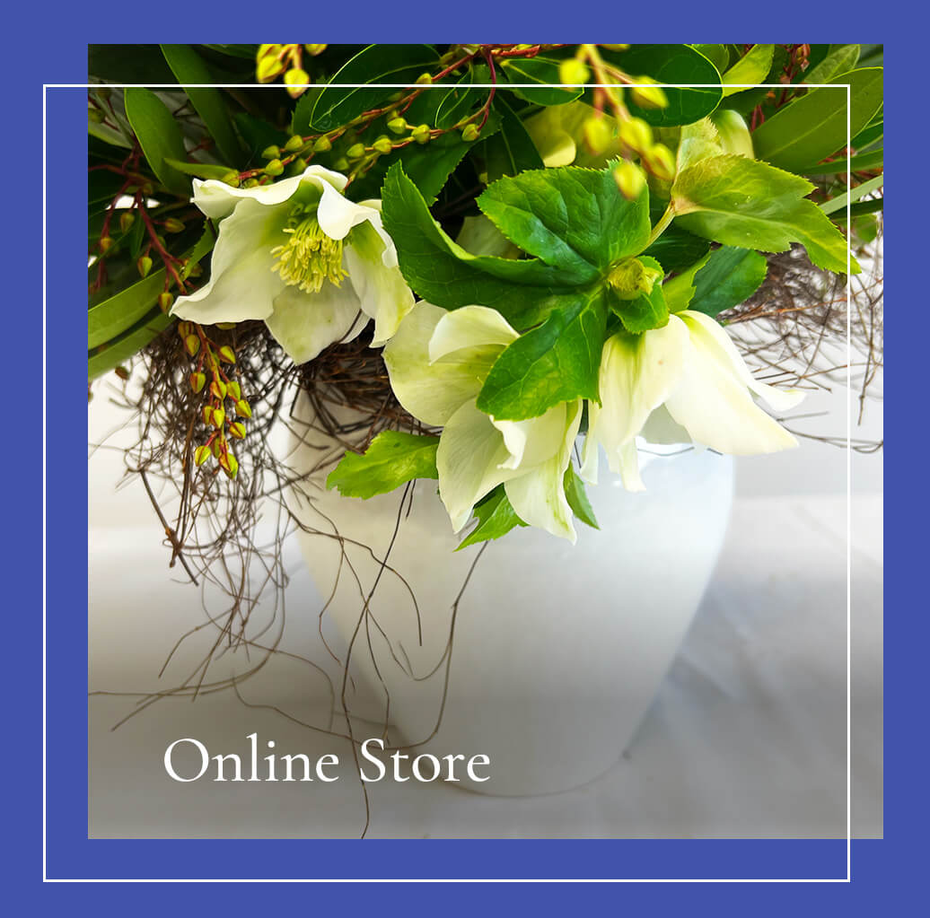 online-store-thumb