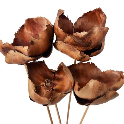 Palm Caps heads  bag of 10 special 2 for the price of 1