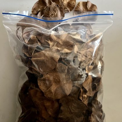 Rosewood Seed 150gram bag