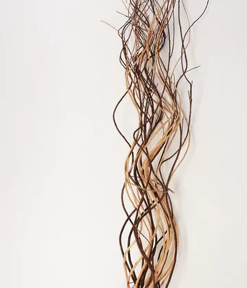 Natural Curly Twigs 155cm
