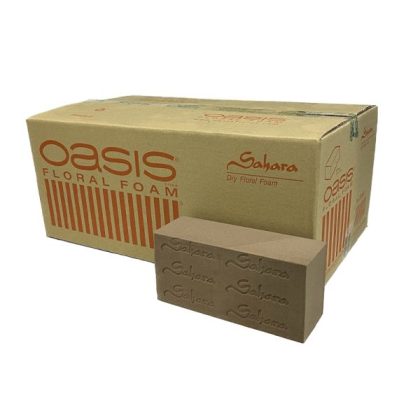 Oasis Sahara Dry Foam Ctn/20