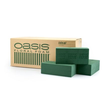 Oasis IDEAL Floral Foam Wet Ctn/20 - Green